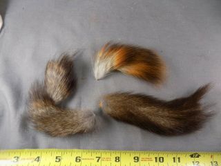 Rare Russian Squirrel Tails Vintage Unusual Fly Tying Materials