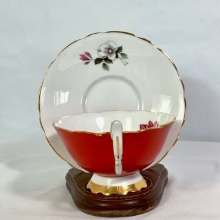 Royal Stafford Tea Cup & Saucer w Floral Design Red Persimmon 3