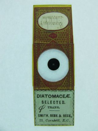 Antique Microscope Slide By J&t.  Jones For Smith,  Beck & Beck.  Selected Diatoms.
