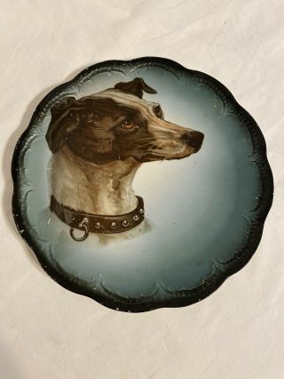 Antique Dog Whippet W/collar Portrait Transfer Plate V S China Porcelain 9.  5 "