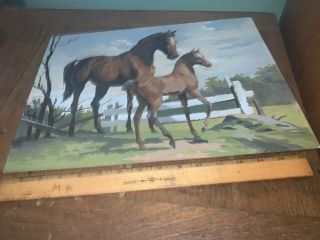 Vintage Horse Equine Racing Field Pbn Paint By Numbers Rare