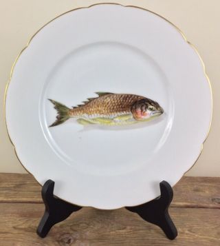 Antique Limoges 9” Porcelain Dinner Plate Hand Painted Fish Signed Cfh 8