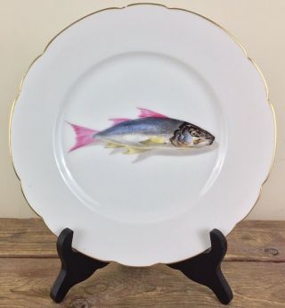Antique Limoges 9” Porcelain Dinner Plate Hand Painted Fish Signed Cfh 9