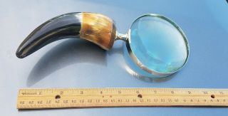 Vintage/Antique Magnifier Glass with Hand Held Horn Handle 2