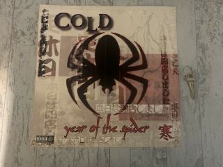 12x12 Cold Band Promo Poster Rare Year Of The Spider