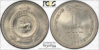 1965 Ceylon Cent Pcgs Sp65 Extremely Rare King 
