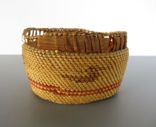 Makah Nootka Northwest Coast Bear Grass Plaited Cedar Loon Antique Basket