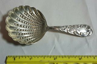 Antique Gorham Sea Shell Sterling Silver Candy/nut Spoon 3 5/8 "