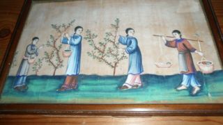 & Rare Framed Antique Chinese Watercolour Painting On Pith Rice Paper