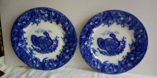 2 Antique Wedgwood Clytie Blue Scallop.  Embossed Flow Blue Turkey Dinner Plates