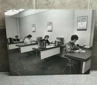 1964 Herman Miller Office Photograph Photo Eames Chairs