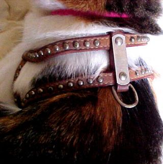 Rare Vtg 1960s - 1970s Hartz Tan Leather Small Dog Cat Harness Halter Studs 15 "