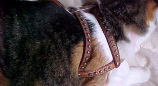 Rare VTG 1960s - 1970s Hartz Tan Leather Small Dog Cat Harness Halter Studs 15 