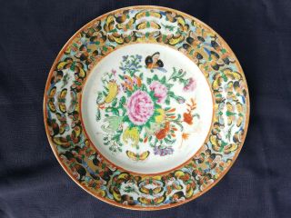 Antique Chinese Famille Rose Butterfly Plate 7 " Diameter