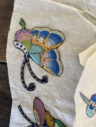 Antique Qing Chinese Silk Embroidered Appliqués Robe Textile Moths Butterflies 3