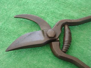 Vintage Disston No.  146 Prunning Shears Rare Hand Shears Clippers 9 " Made In Usa