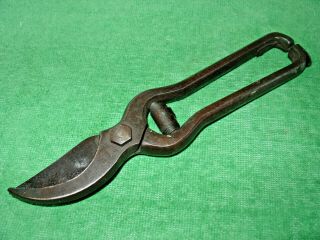 Vintage Disston No.  146 Prunning Shears Rare Hand Shears Clippers 9 
