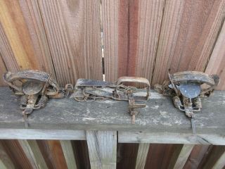 3 Antique Vintage Small Animal Traps 1 - 8 " And 2 - 5 "