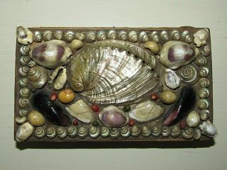 Antique Hand Made Sea Shell Trinket Box From Aunt Sarah To Little Helen
