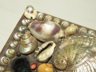 Antique Hand Made Sea Shell Trinket Box From Aunt Sarah to Little Helen 3