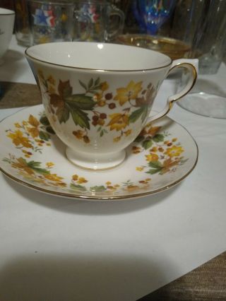 Queen Anne England 8606 Medina Autumn Leaves 2 3/4 " Cup And Saucer Set