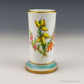 Antique English Royal Worcester Porcelain - Flower Painted Vase - Lovely
