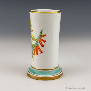 Antique English Royal Worcester Porcelain - Flower Painted Vase - Lovely 2