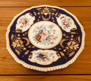 V - Rare Antique Royal Crown Derby Cobalt Blue Flower Plate - C.  1825 -