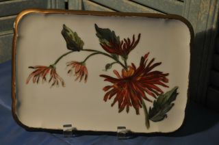 Antique Charles Field Haviland Cfh/gdm France Flower Tray Painted Collectible