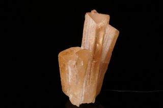 Rare Locale Danburite Crystal Cluster Koksha Valley,  Afghanistan - Ex.  Currier