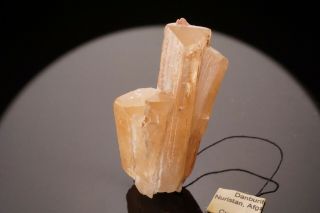 RARE LOCALE Danburite Crystal Cluster KOKSHA VALLEY,  AFGHANISTAN - Ex.  Currier 2