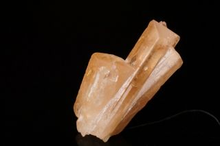 RARE LOCALE Danburite Crystal Cluster KOKSHA VALLEY,  AFGHANISTAN - Ex.  Currier 3
