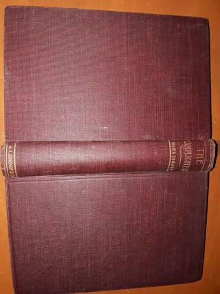 Antique Vintage Book The Lamplighter By Maria S.  Cummins
