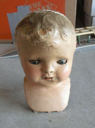 Big Vintage Composition Girl Doll Head And Shoulders 7 1/2 " Tall