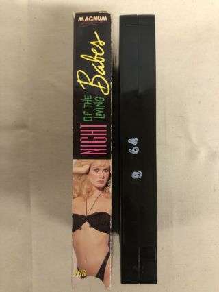 Night of the Living Babes - VHS - Magnum - Rare - Cult 3