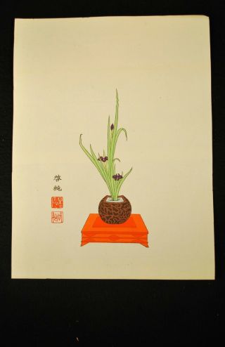 Antique Meiji Era Japanese Floral Ikebana Woodblock Print / Found In Storage 6