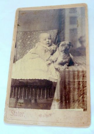 Antique Cabinet Card/photo Of Baby W/dog/pug In Lebanon,  Ohio