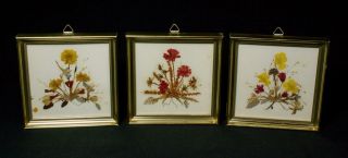 Set Of 3 Vintage Framed Dried Pressed Flowers Prints Reichlin Switzerland