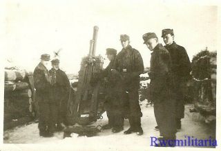 RARE Luftwaffe Field Division Troops in Camo w/ 7.  5cm Kanone; Russia 2