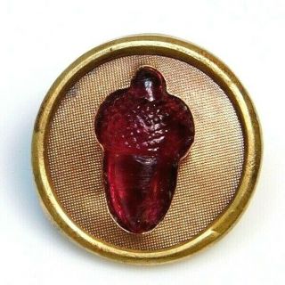 Antique Vtg Button Small Ruby Red Glass Acorn In Copper Ome G1