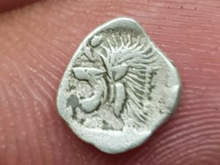 Very Rare Ancient Greek Silver Coin Of Kyzikus / Lion 0,  3 Gr 9 Mm
