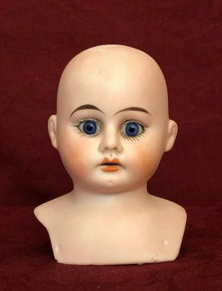 Antique German Bisque Doll Head W/ Gorgeous Cornflower Eyes - Ernst Heubach