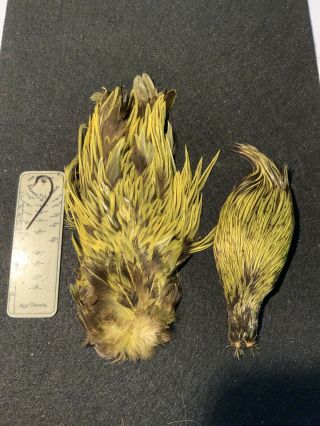 Yellow Badger Feathers Salmon Fly Tying Flies Rare
