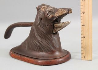 Antique Patented 1920 Nickel Plated Cast Iron Figural Collie Dog Nutcracker,  Nr