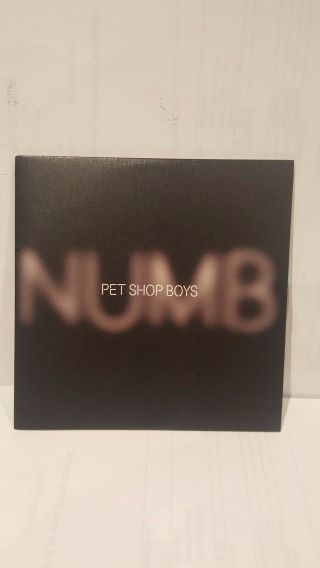 Very Rare Uk,  2 Track Cd Promo Of " Numb " By The Pet Shop Boys