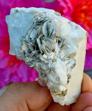 363 CT Ultra Rare Top Quality Aquamarine Crystal Specimen With Muscovite 3