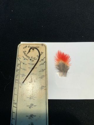 Crimson Fruit Crow Tail Covert Feathers Salmon Fly Tying Flies Rare
