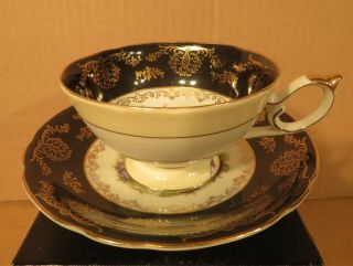 Shafford Cabbage Rose & Violets in Black & Gold Teacup & Saucer / Made in Japan 3