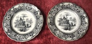 Antique Pair Very Rare Black Ironstone Transferware Plates from the Early 1800 ' s 2
