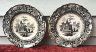 Antique Pair Very Rare Black Ironstone Transferware Plates from the Early 1800 ' s 3